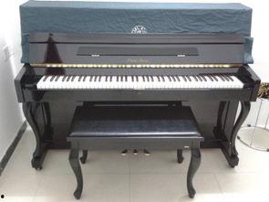 国产玩具成人钢琴视频,成人钢琴视频带你领略音乐之美