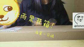 国产fc开箱视频,重温经典，畅享游戏时光