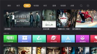 天天更新视频日韩国产