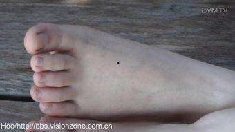 国产女主美脚视频,展现东方足韵之美