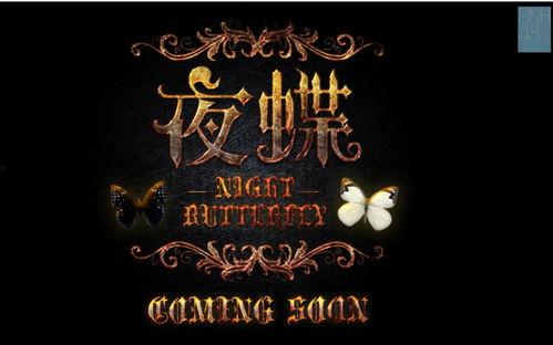 国产夜蝶完整视频,光影交织的梦幻之旅