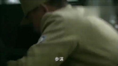 假冒国产的人的视频大全,视频大全揭露真假产品真相