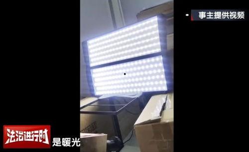 在线国产女厕偷拍视频