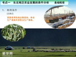 中国产业发展史视频课件,中国产业发展历程概览