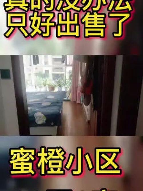 国产房子捡漏视频,教你如何抓住低价购房良机