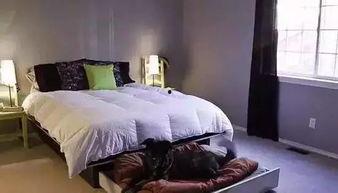 德国产品介绍房间视频,探索德国产品精粹的房间奥秘