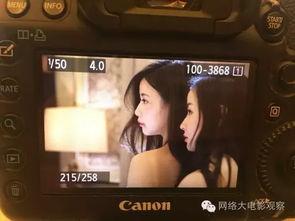 唯美网在线视频观看国产,唯美网带你领略国产影视魅力