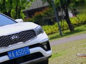 国产suv高清视频直播,高清直播带你领略国产SUV魅力瞬间