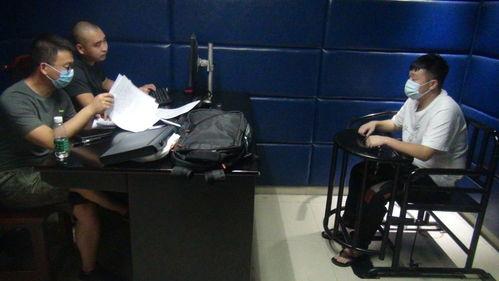 国产视频悠悠色情,揭秘网络色情内容的灰色地带