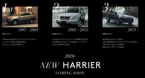 国产本道在线视频,探索本土影视新风尚