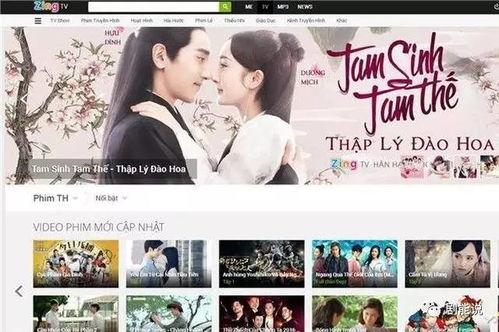 中国国产免费看视频,免费观看，尽在中国免费看视频平台