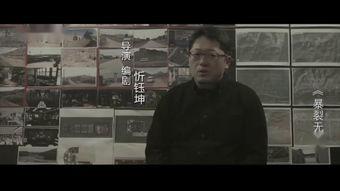 反特电影国产解说视频  第2张