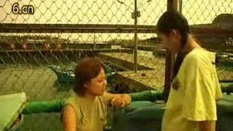 国产沉沦情海视频,沉沦情海的深情演绎  第2张