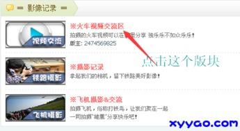 逍遥区 国产视频  第2张