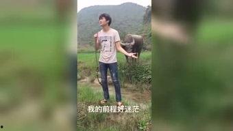 国产高清视频福利  第3张